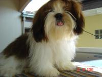 post-42643-0-57330800-1410418834_thumb.j