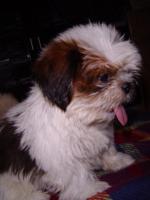 post-42643-0-87004000-1410418870_thumb.j