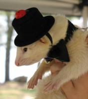 post-87166-0-43451400-1410502667_thumb.j