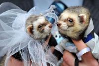 post-87166-0-87374600-1410502656_thumb.j