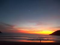 post-92090-0-36242500-1411882207_thumb.j