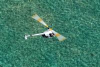 post-93078-0-05080300-1409581554_thumb.j