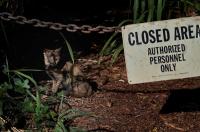 post-93078-0-43411800-1411445328_thumb.j