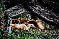 post-93078-0-59282800-1411445533_thumb.j