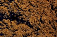 post-93078-0-64286200-1410440249_thumb.j