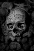 post-93078-0-68491800-1411273047_thumb.j