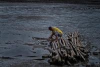 post-93078-0-69080800-1409837084_thumb.j