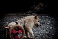 post-93078-0-75823900-1410665857_thumb.j