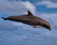 post-93078-0-77492300-1411652631_thumb.j