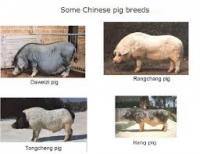 post-9891-0-29821600-1411728707_thumb.jp