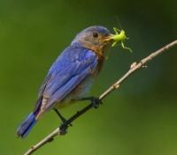 post-9891-0-44997100-1411992916_thumb.jp