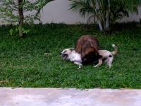 post-9958-0-05344100-1410932229_thumb.jp