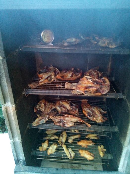 post-10408-0-17090900-1442546491_thumb.j