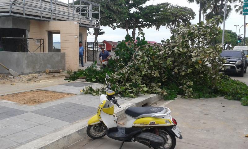 post-110622-0-46771400-1442288432_thumb.