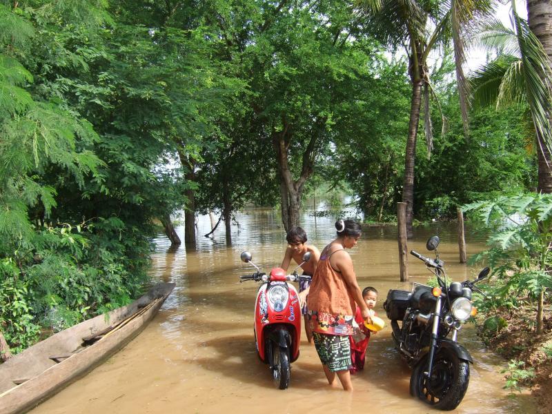 post-155547-0-26869000-1441930684_thumb.