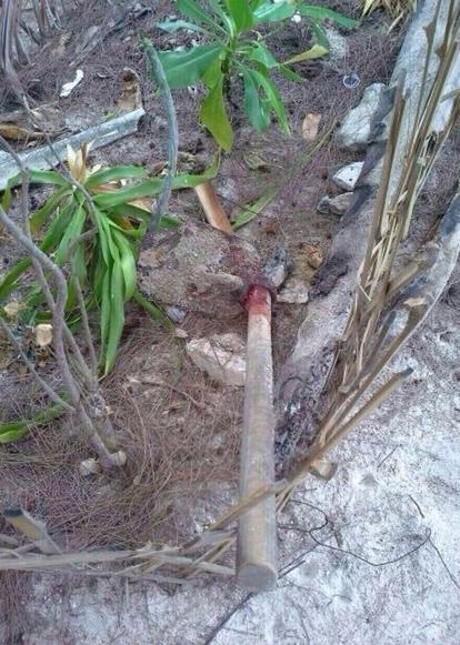 post-155768-0-88250700-1442888378_thumb.