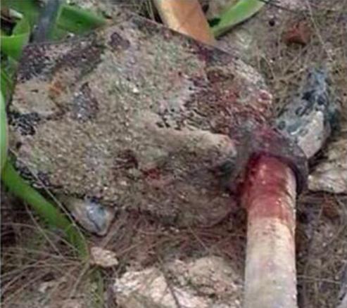 post-155768-0-97574600-1442921219_thumb.