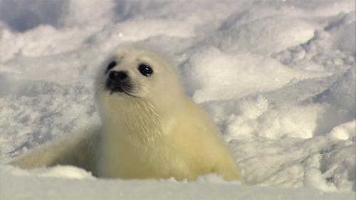 post-166188-0-28806600-1441362182_thumb.