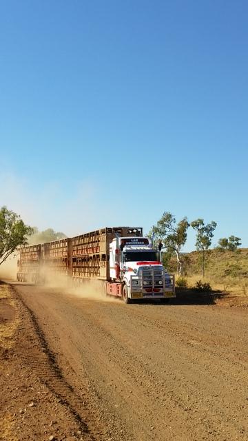 post-170833-0-05488500-1441624921_thumb.