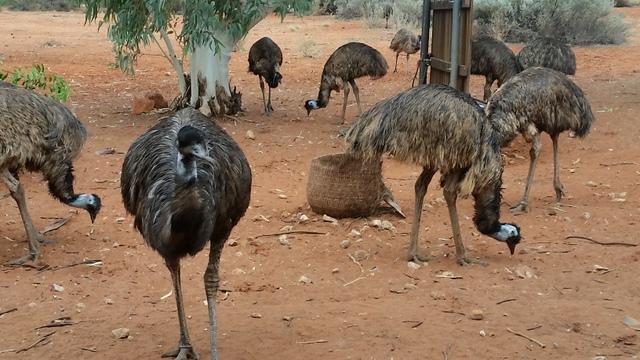 post-170833-0-12500600-1441694374_thumb.