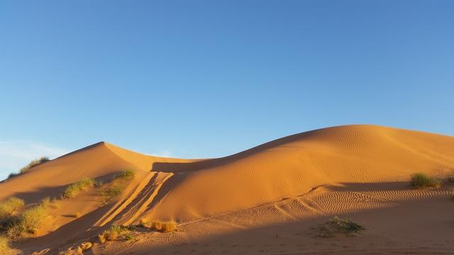 post-170833-0-43801900-1441624892_thumb.