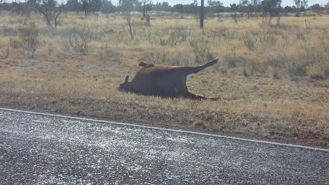 post-170833-0-48466500-1441536420_thumb.