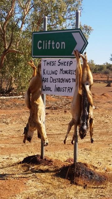 post-170833-0-89737800-1441624907_thumb.