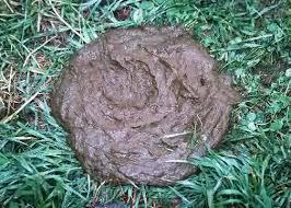 post-209291-0-18661900-1441085042_thumb.