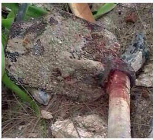 post-223227-0-97655800-1442928190_thumb.
