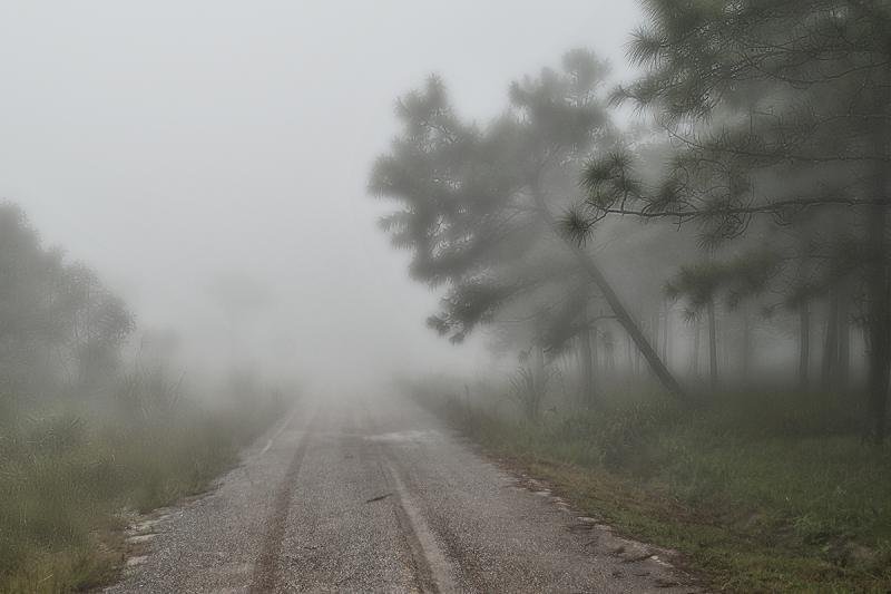 post-228573-0-09716500-1442503328_thumb.