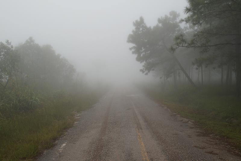 post-228573-0-73821100-1442506153_thumb.