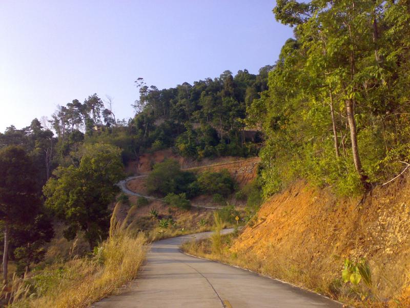 post-230095-0-31280000-1441891265_thumb.