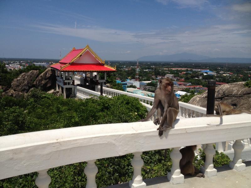 post-230095-0-74227700-1443207771_thumb.