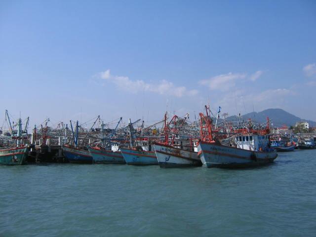 post-230095-0-77410200-1442340418_thumb.