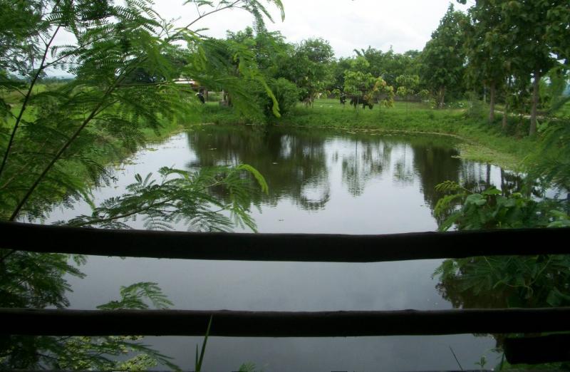 post-231810-0-55817100-1441695589_thumb.