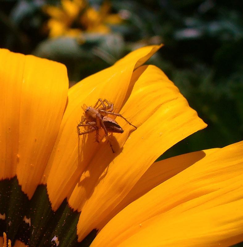 post-231841-0-00342800-1442665006_thumb.