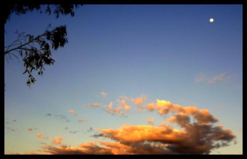 post-231841-0-00442800-1441540657_thumb.