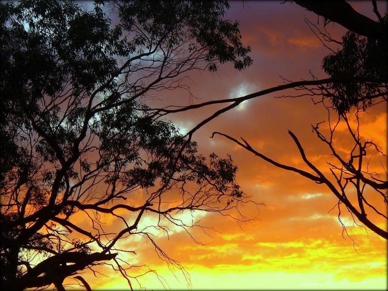 post-231841-0-11071900-1442145152_thumb.