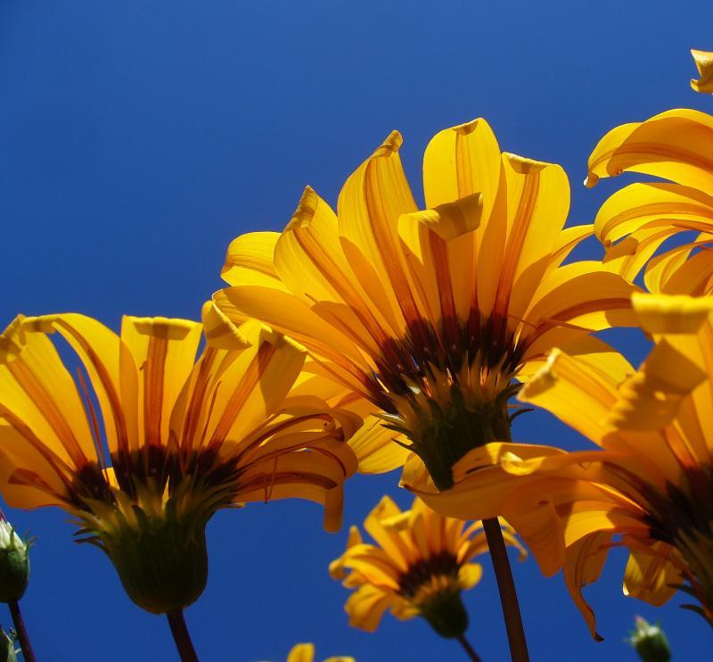 post-231841-0-15897400-1442394563_thumb.