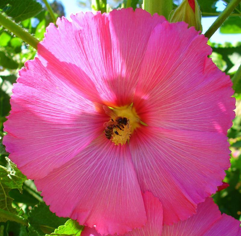 post-231841-0-19545900-1441451014_thumb.