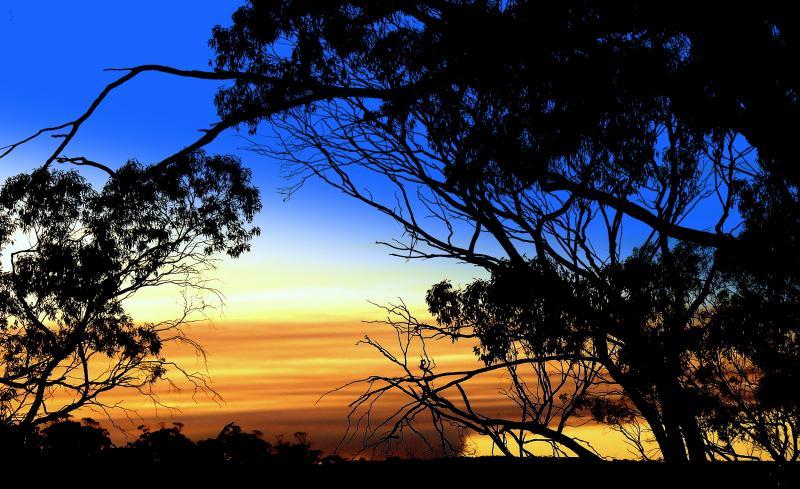 post-231841-0-22569000-1443016053_thumb.