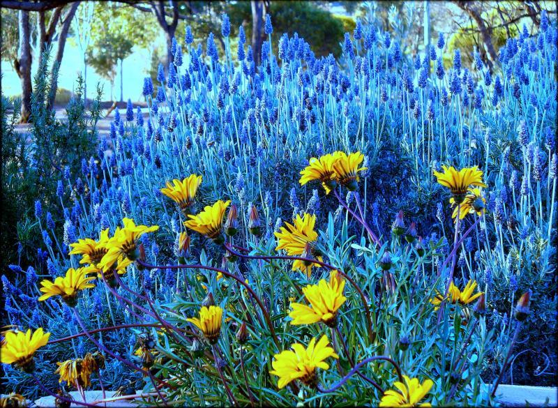 post-231841-0-26637100-1443017835_thumb.