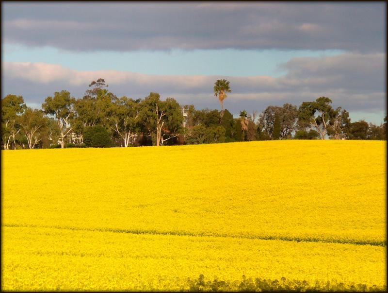 post-231841-0-32356200-1442024687_thumb.