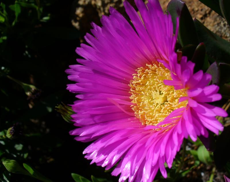 post-231841-0-39772400-1441450363_thumb.