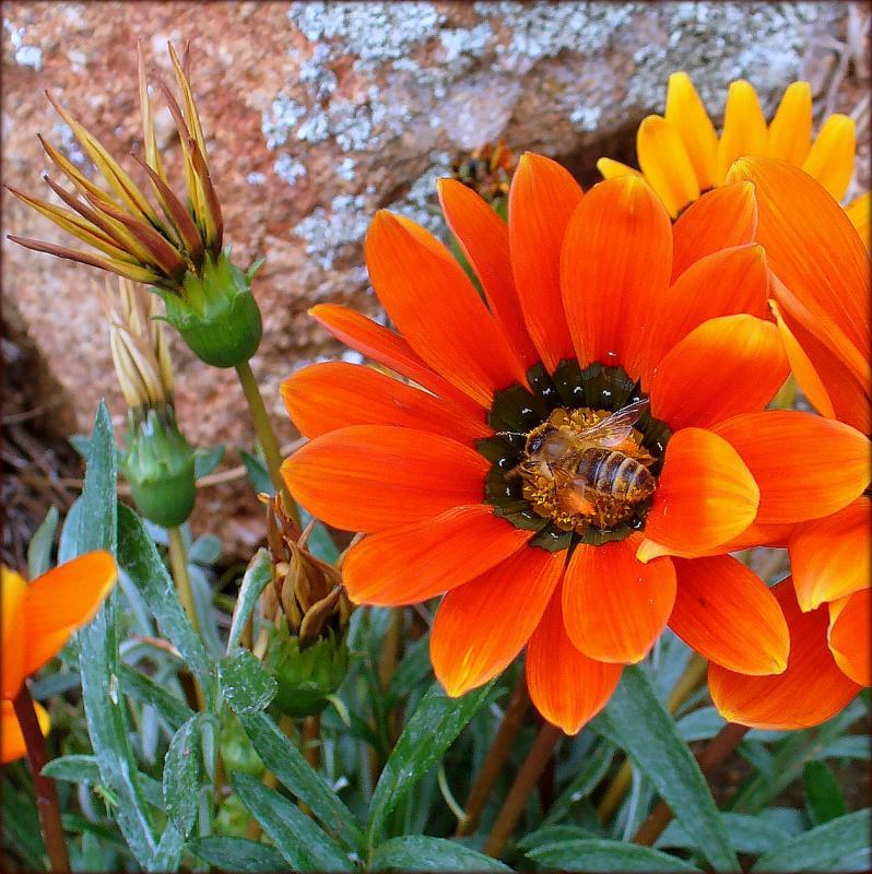 post-231841-0-40237200-1441450308_thumb.