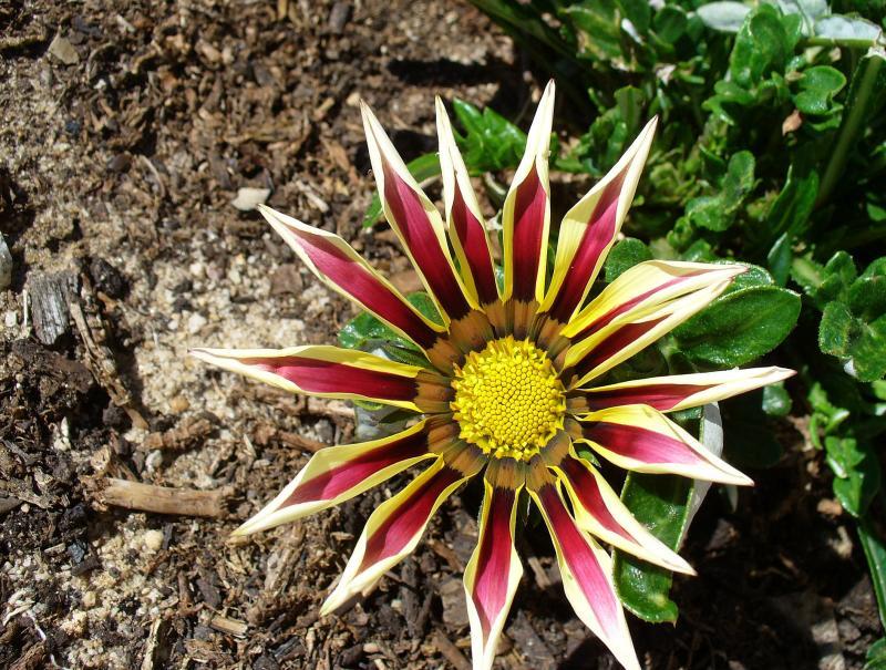 post-231841-0-53798900-1442396230_thumb.