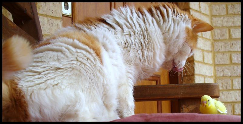 post-231841-0-56501400-1441454236_thumb.