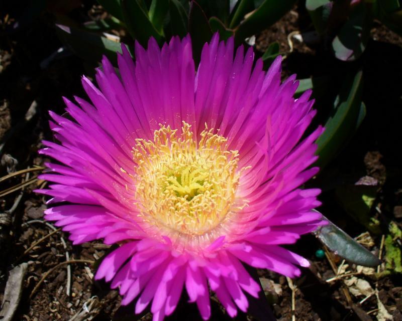 post-231841-0-72613200-1442660384_thumb.