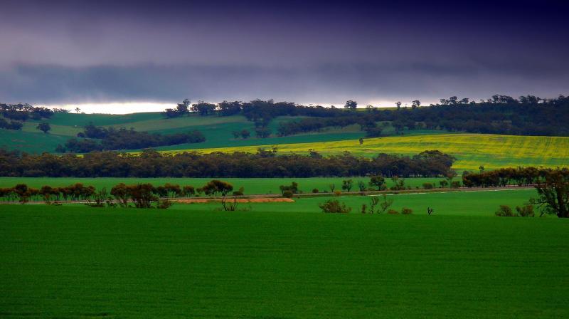 post-231841-0-88770300-1442144563_thumb.