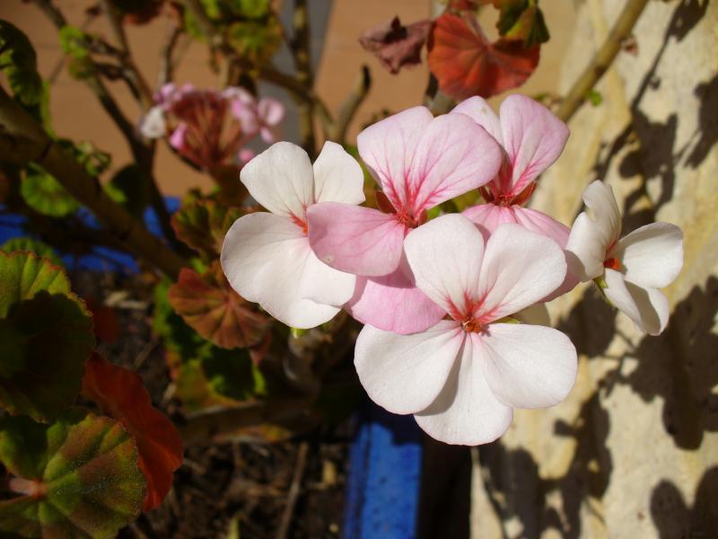 post-231841-0-89138300-1442661190_thumb.